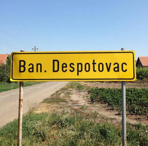 BANATSKIDESPOTOVAC