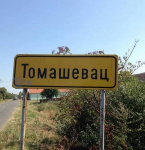 TOMASEVAC11